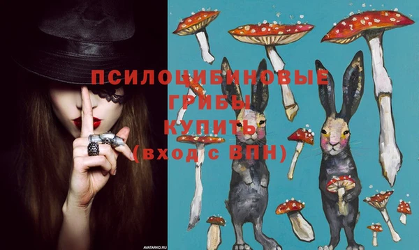 винт Алексеевка