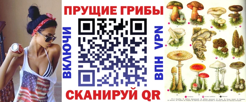 Псилоцибиновые грибы Psilocybine cubensis  Менделеевск 